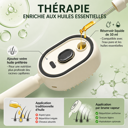 Brosse à Vapeur Professionnelle Sans Fil