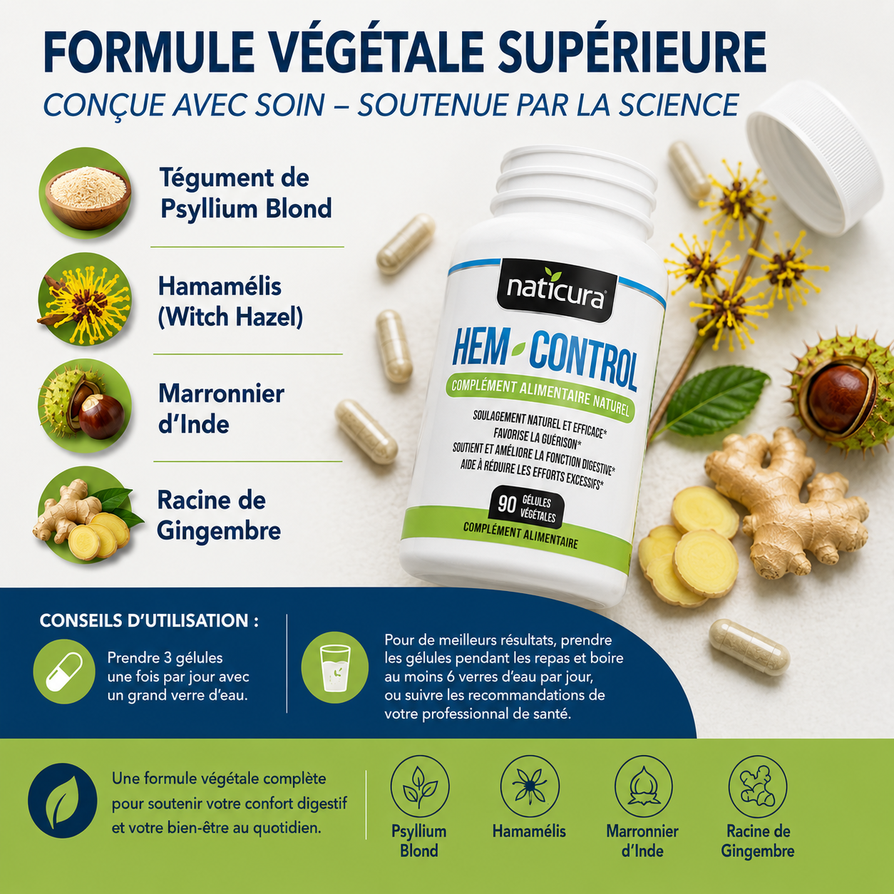 Complément alimentaire pour le traitement des hémorroïdes