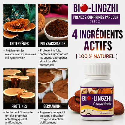 Bio-Lingzhi pour Soutenir la Santé des Reins & du Foie