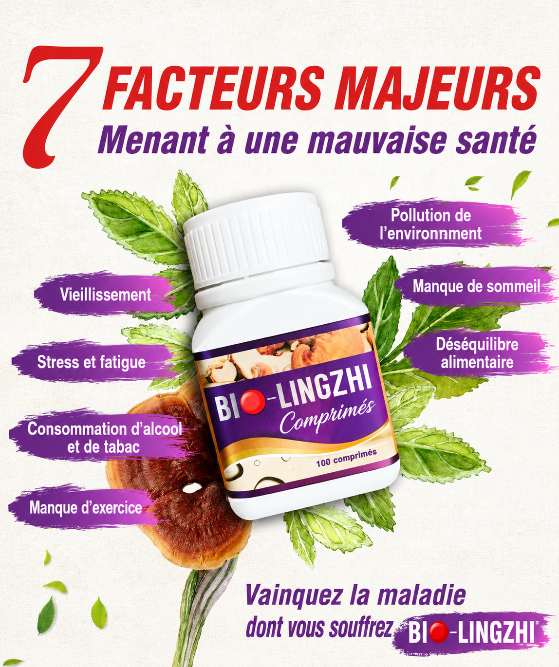 Bio-Lingzhi pour Soutenir la Santé des Reins & du Foie