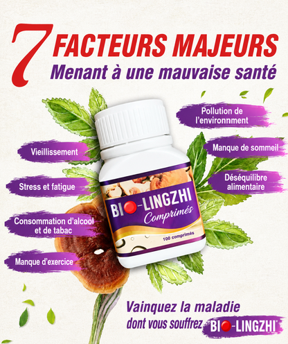 Bio-Lingzhi pour Soutenir la Santé des Reins & du Foie