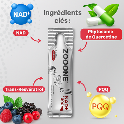 Zooone - Supplément NAD nicotinamide riboside