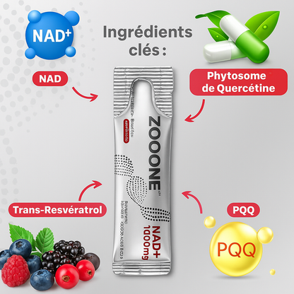 Zooone - Supplément NAD nicotinamide riboside pour femme et homme