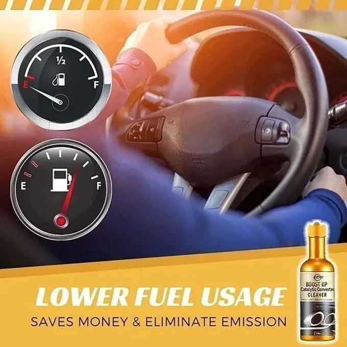 Catalytic -Converter Cleaner